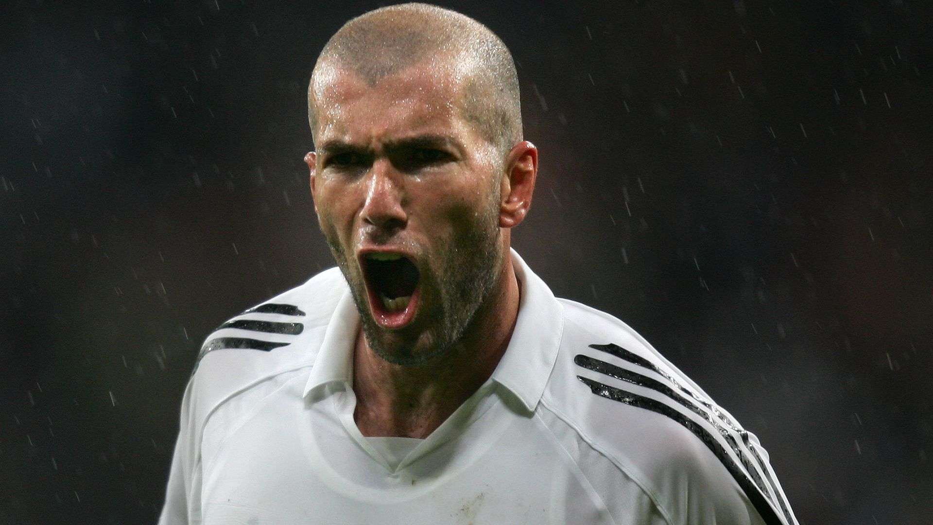 图和德甲的 图和德甲的