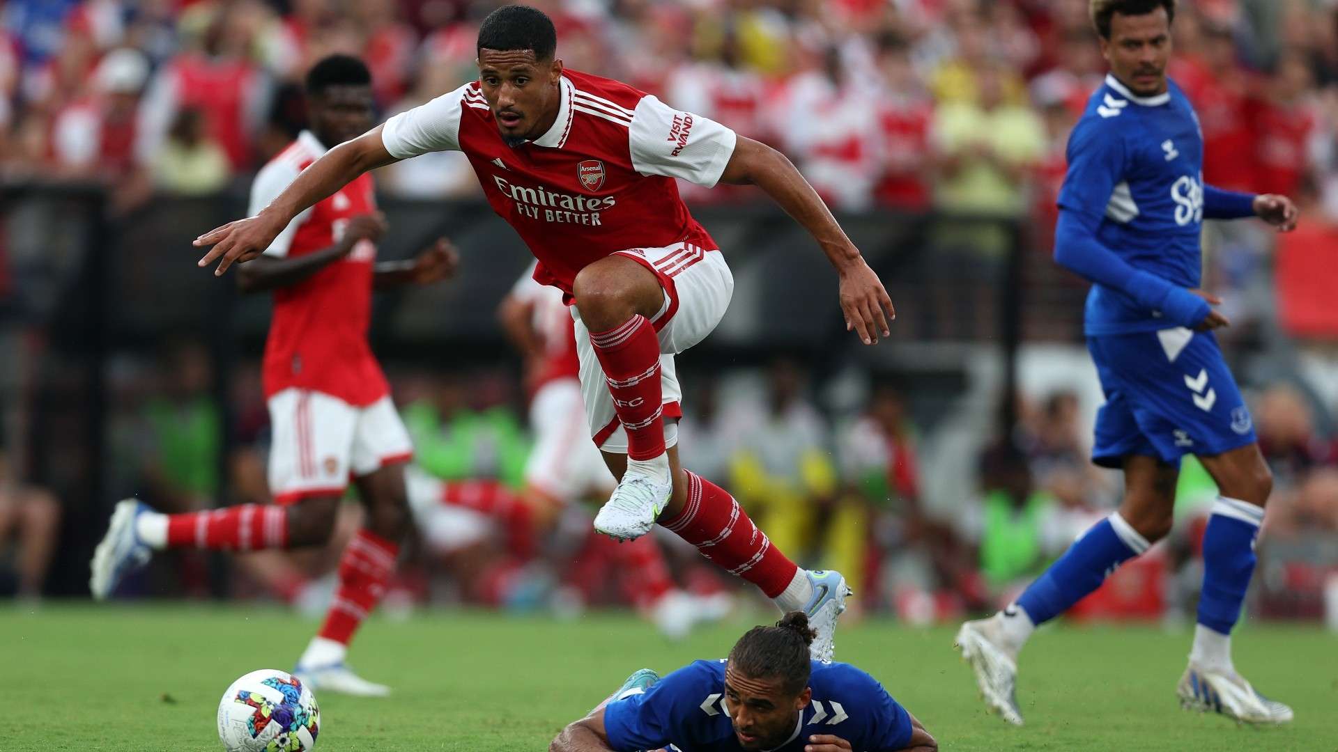 多排球爱好 多排球爱好